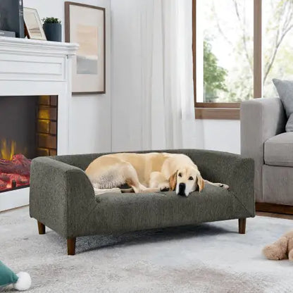 Modern Pet Sofa
