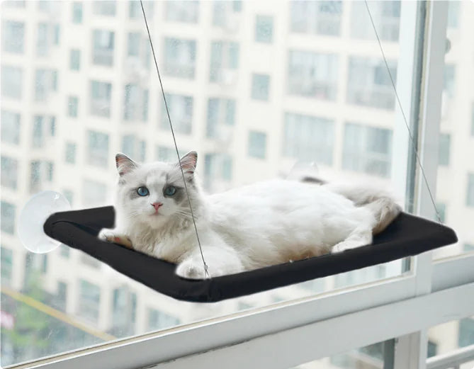 Curious Cat Window Hammock
