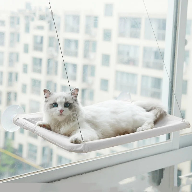 Curious Cat Window Hammock