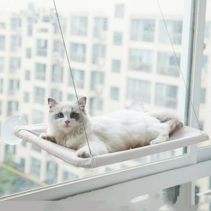 Curious Cat Window Hammock