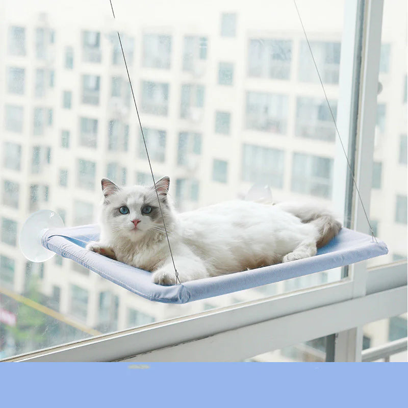 Curious Cat Window Hammock