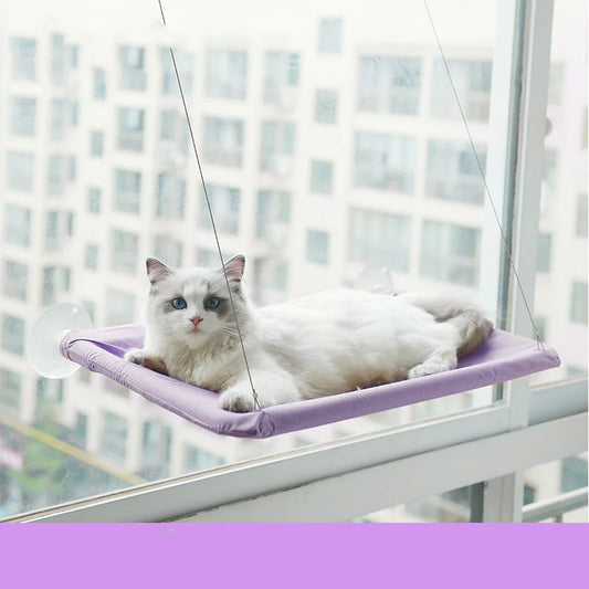 Curious Cat Window Hammock