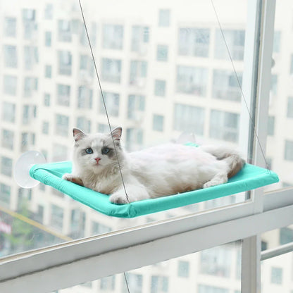 Curious Cat Window Hammock