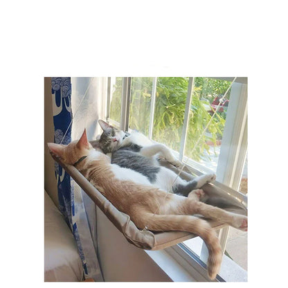 Curious Cat Window Hammock