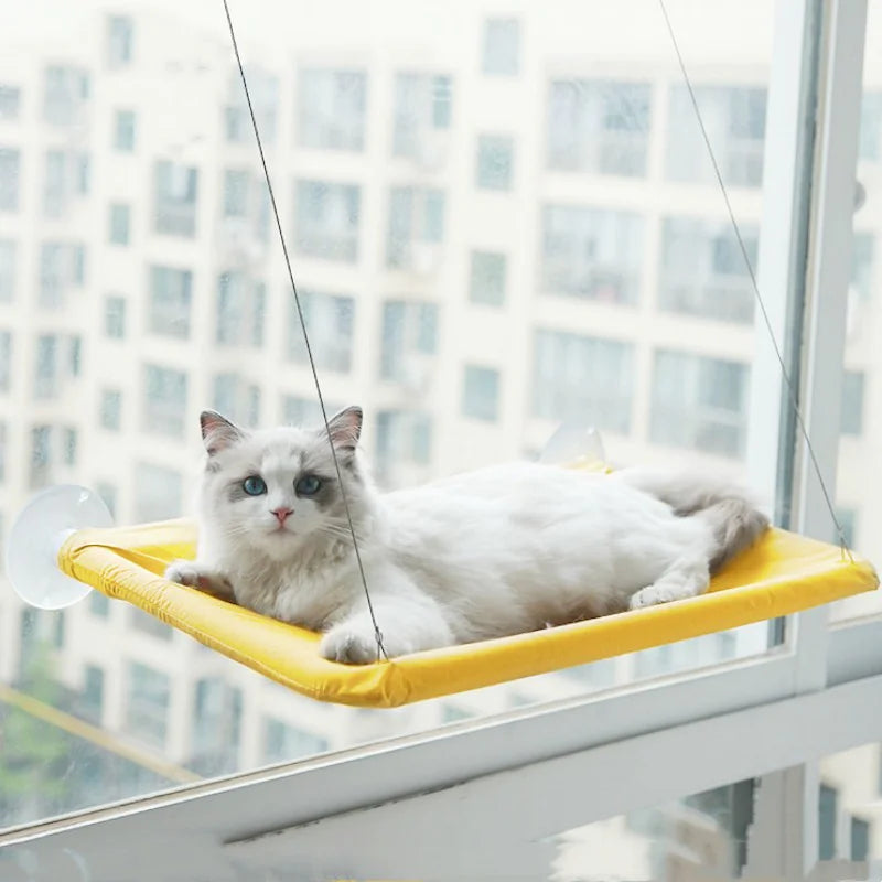 Curious Cat Window Hammock
