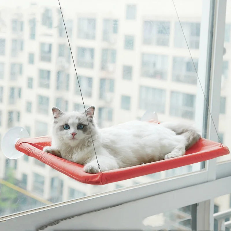 Curious Cat Window Hammock